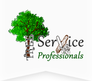 Tree removal service, Tree service near me, Emergency tree service, Tree trimming companies, Stump removal 