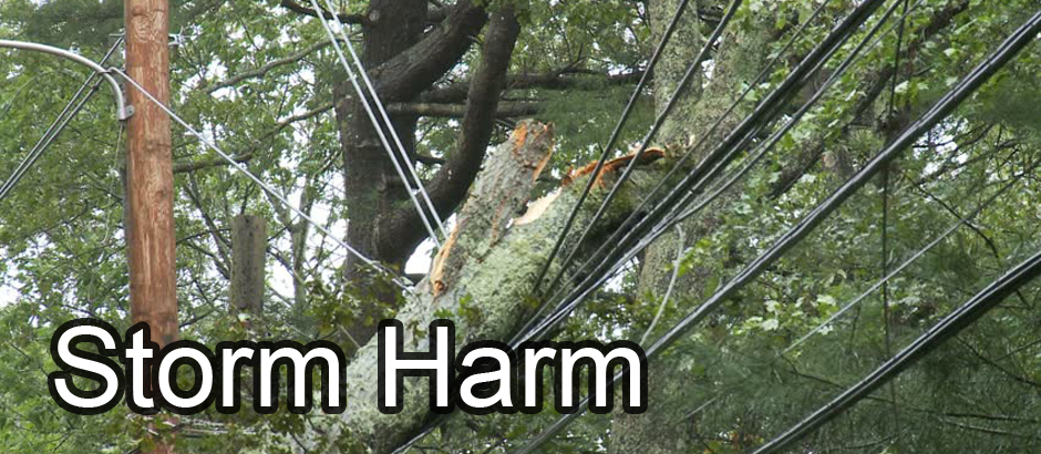 storm harm